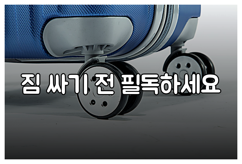 짐 싸기 전 필독하세요