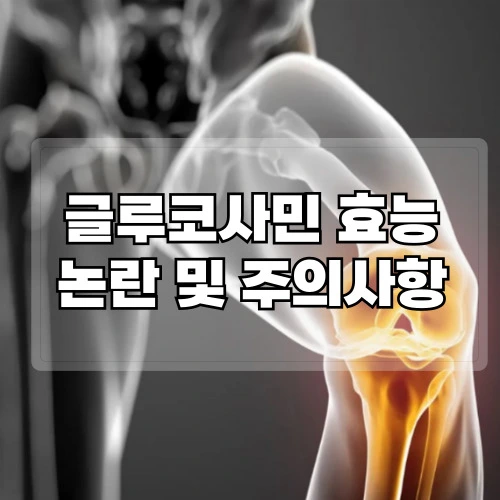 글루코사민-효능-논란-및-주의사항