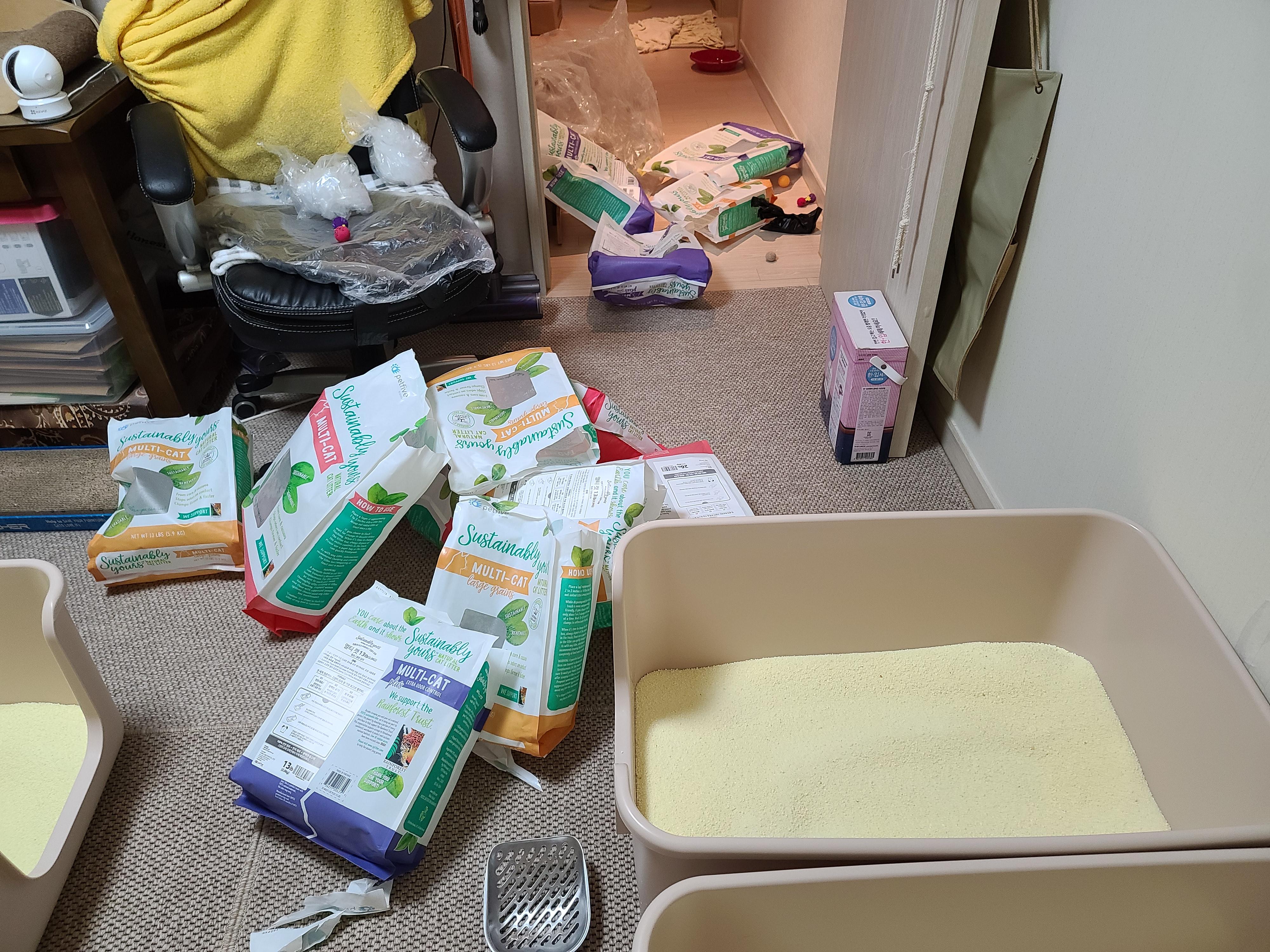 고양이 모래와 화장실의 중요성. 고양이 화장실 변천사