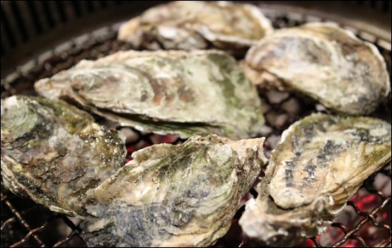 굴의 효능-5