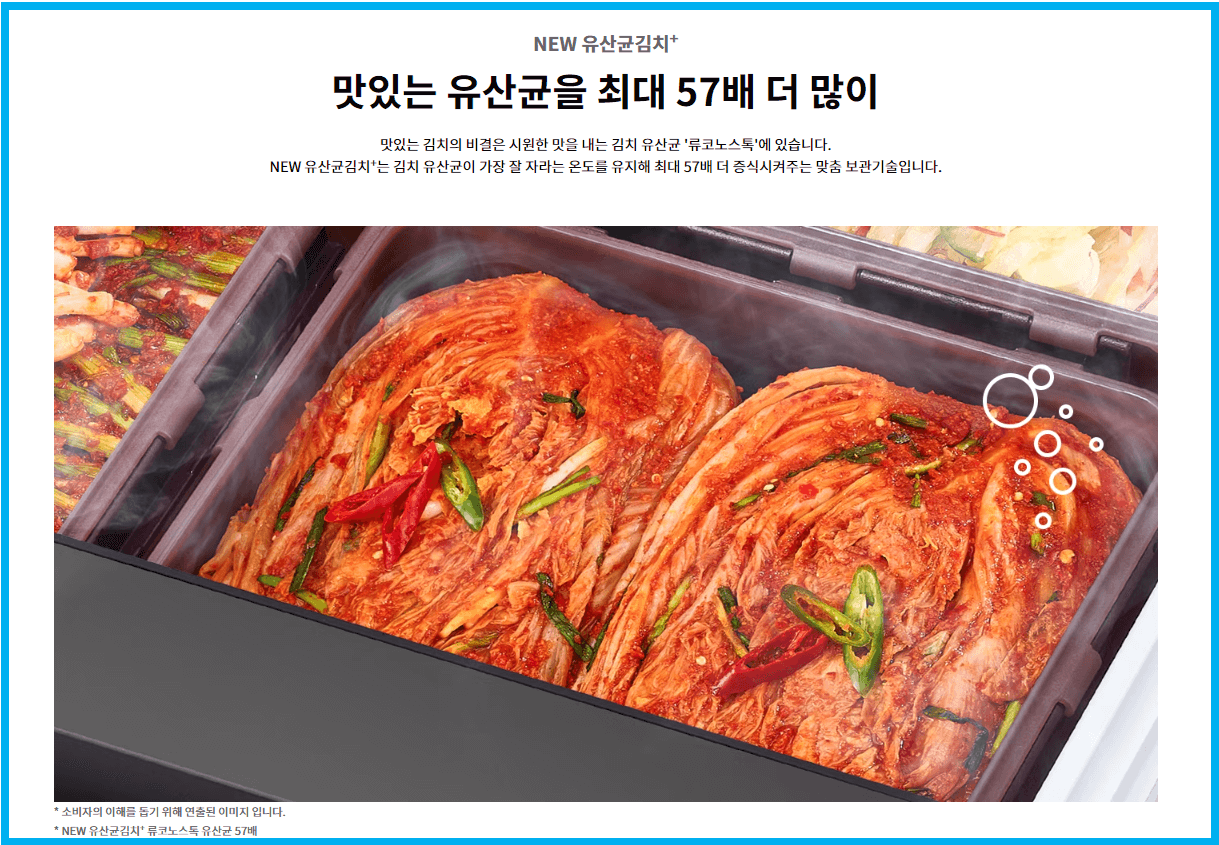 김치냉장고 유산균