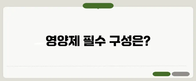 필수 영양제 건강을 위한 기본 구성