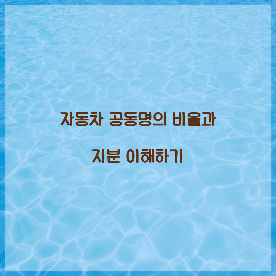 자동차 공동명의 비율