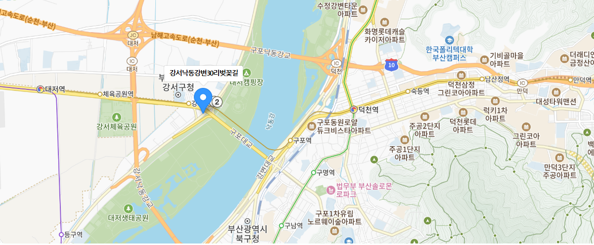 강서 낙동강 30리 벚꽃축제