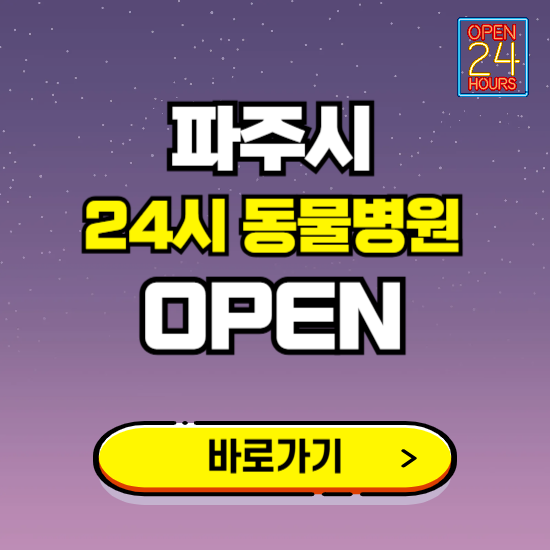 파주시 24시 동물병원 진료하는 곳 ❘ 설날 휴일 야간 심야 문여는곳 찾기 ❘ 응급진료