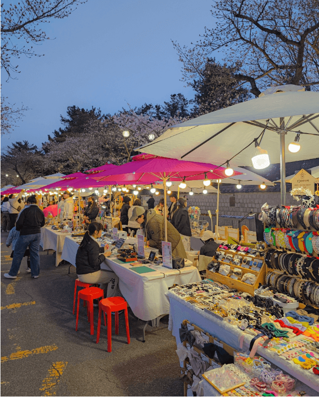 경주 벚꽃 개화 시기 및 축제 및 명소와 관련된 사진
