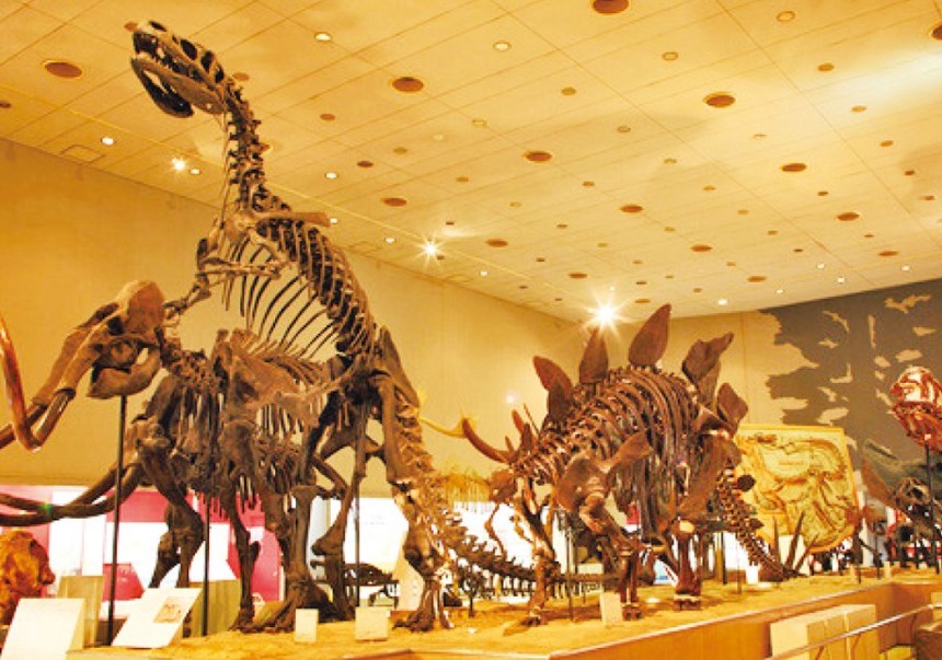 오사카 주유패스