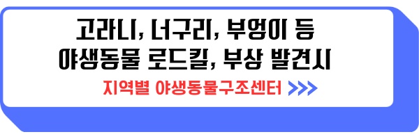 로드킬 사체처리 신고