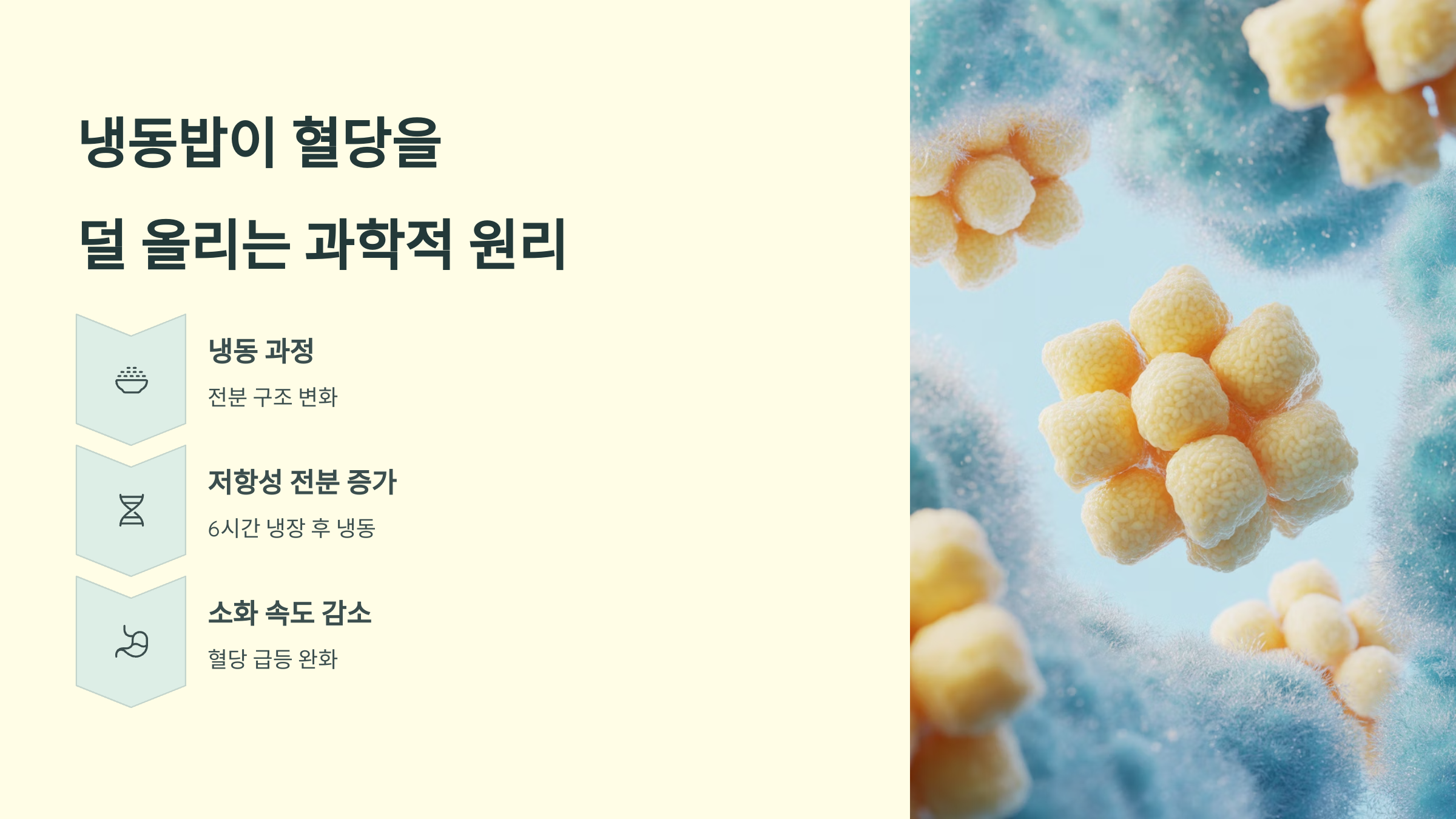 냉동밥이 혈당을 덜 올리는 과학적 이유