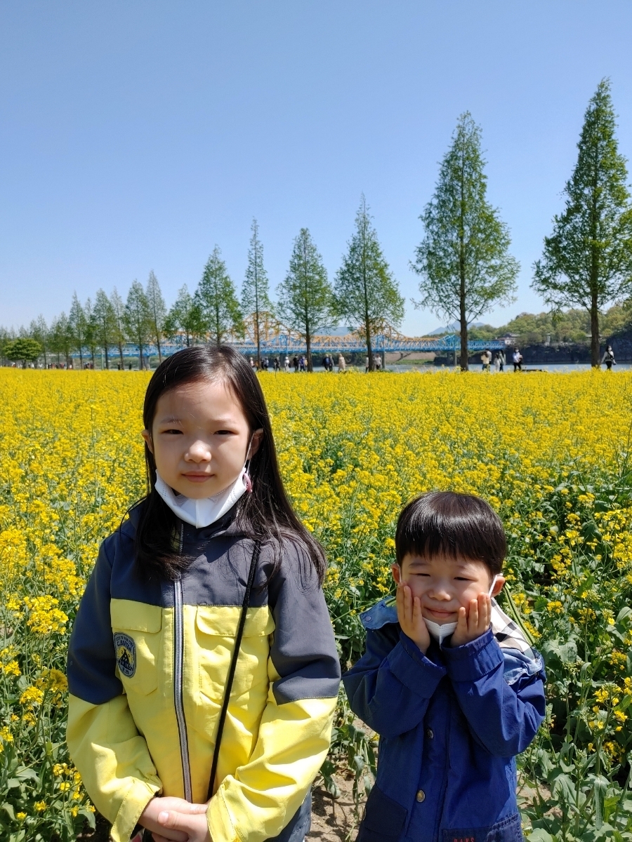 남지 유채공원8