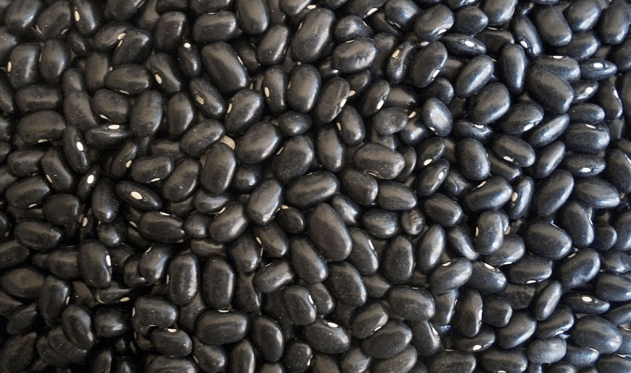 검은색 콩이 모아 놓았다