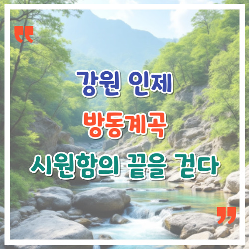 강원-인제-방동계곡-시원함의-끝을-걷다
