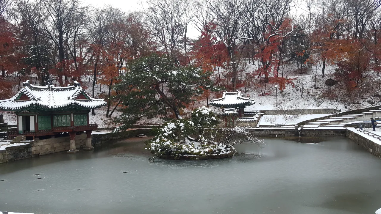창덕궁-후원-정자-호수-가운데-소나무-눈내린-풍경