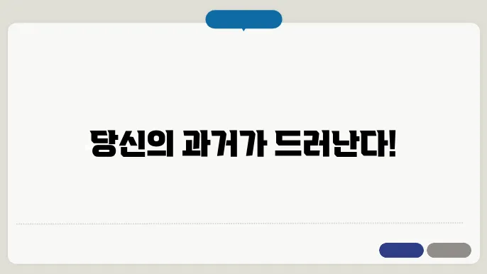 범죄 경력 조회 신청