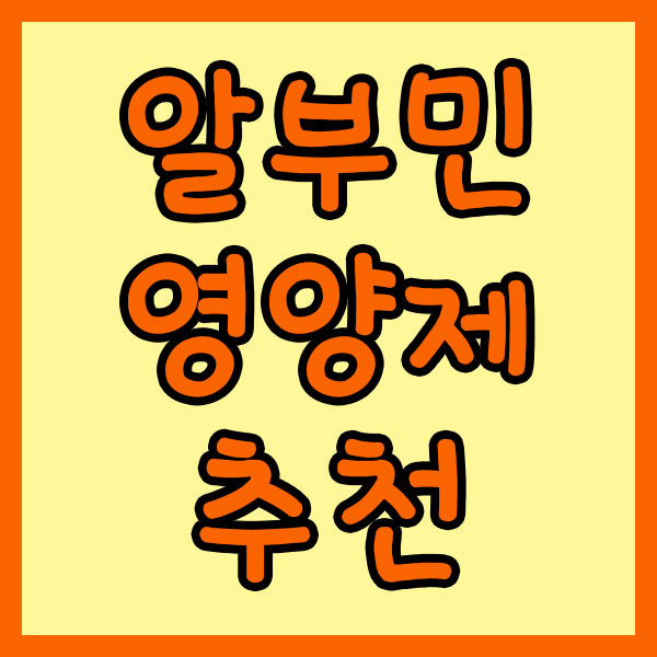 알부민 영양제 추천