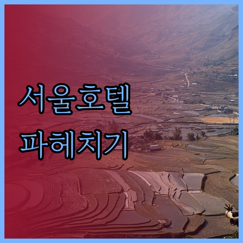 서울 호텔 완벽 분석 숙박 후기, 가
