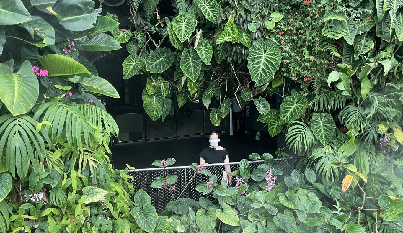 가든스 바이 더 베이 클라우드 포레스트