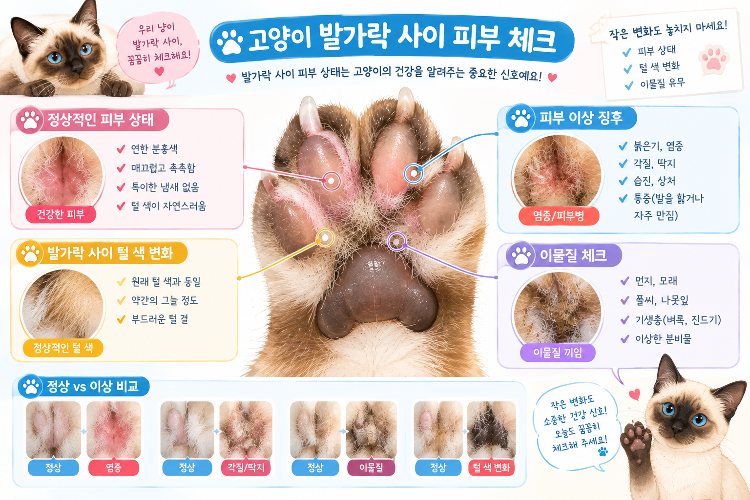 고양이 발가락 사이 피부 체크