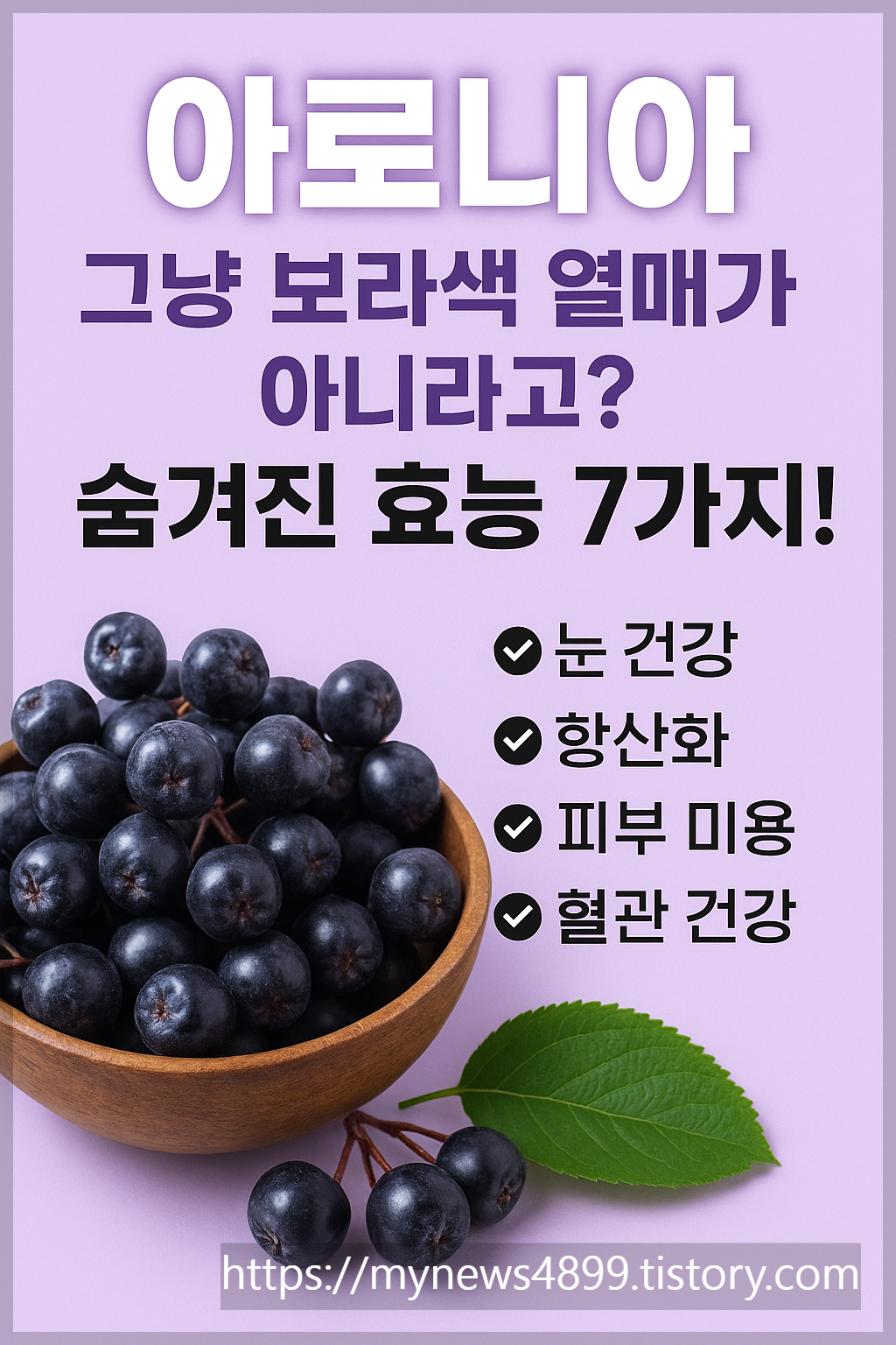 아로니아숨겨진효능/사진