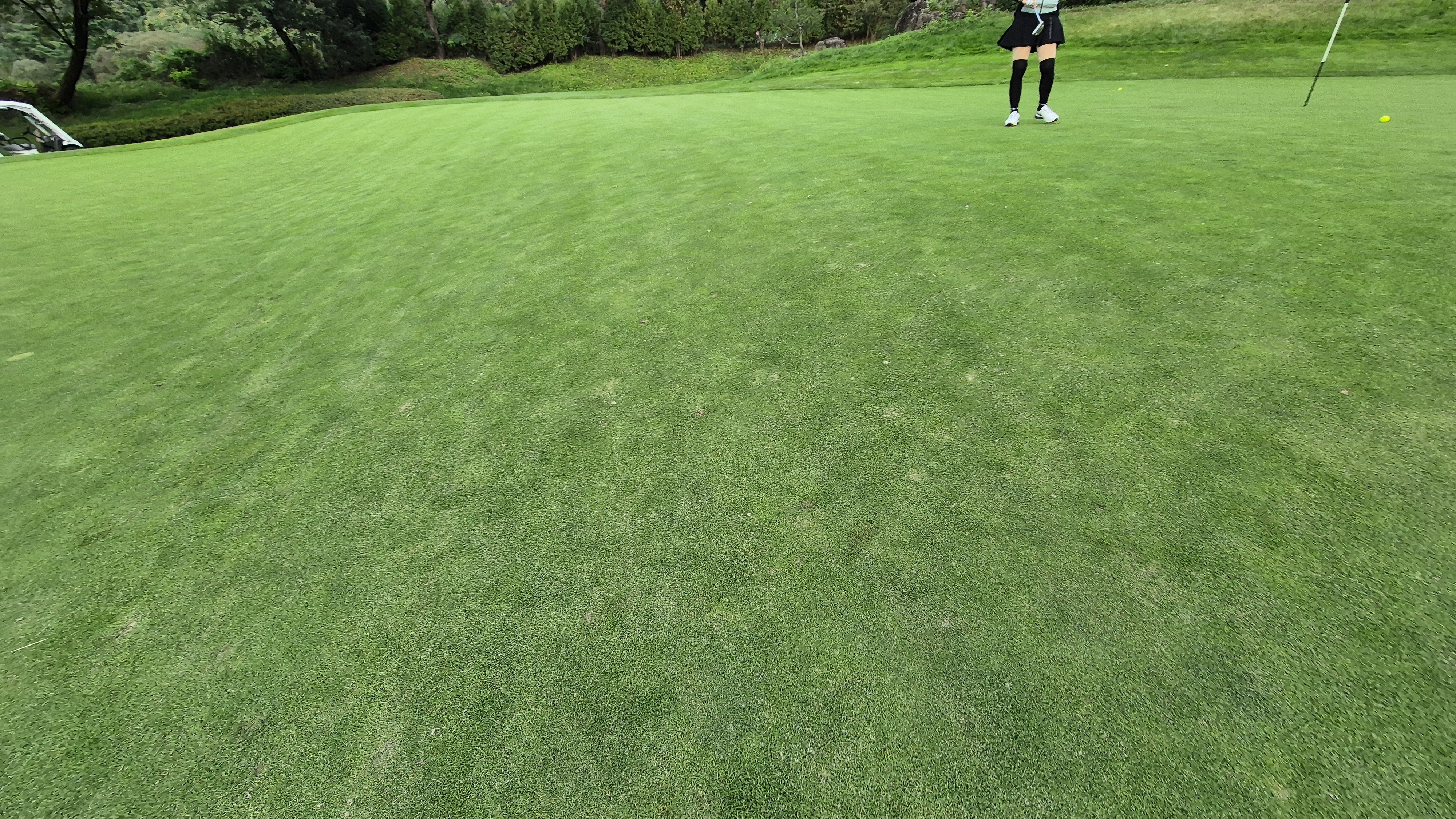 블랙스톤 벨포레cc 그린빠르기 및 난이도