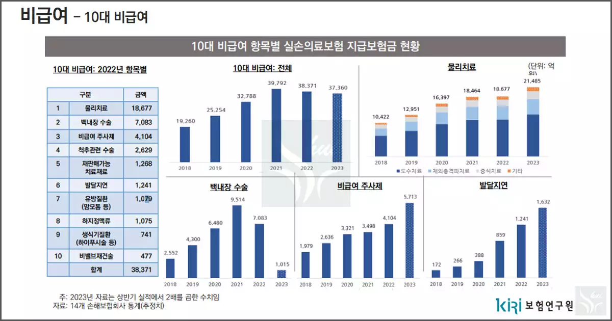 실비보험 비급여 항목 정리