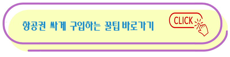 항공기 싸게 구입하는 팁 바로 가기