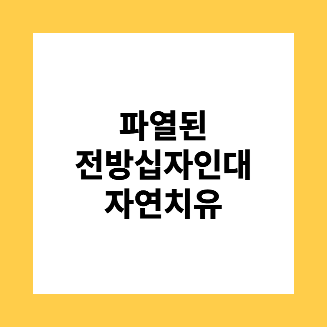 파열된 전방십자인대 자연치유