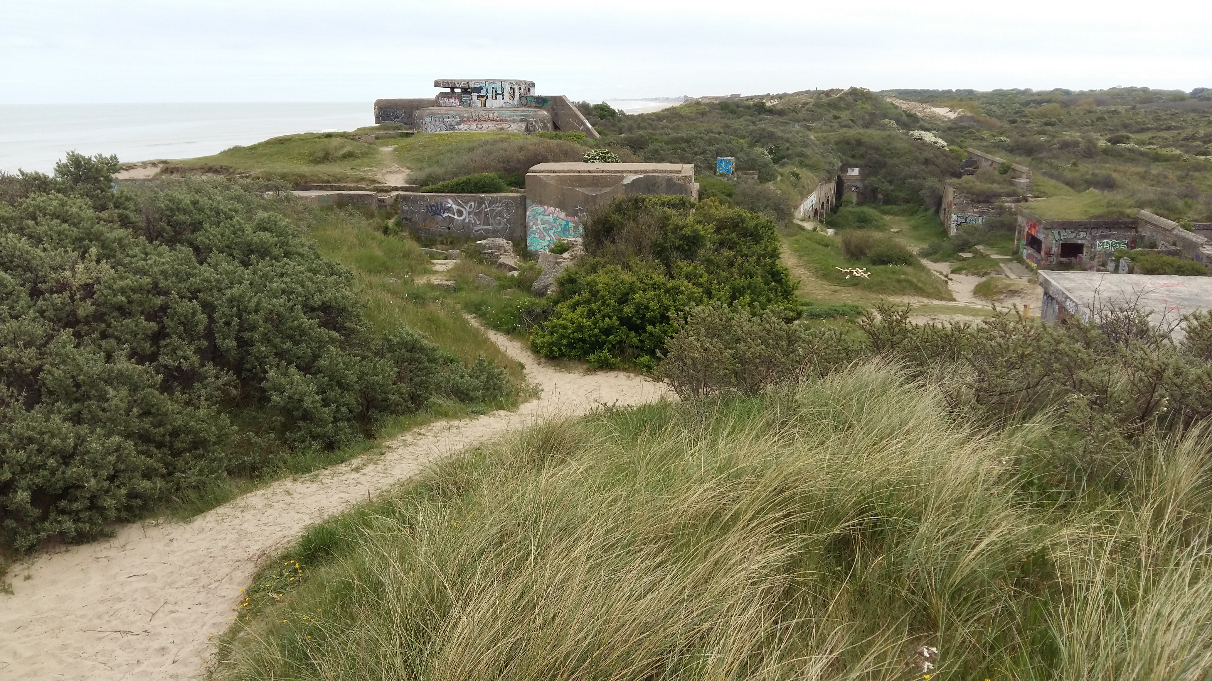 프랑스 됭케르크 갈대와 벙커