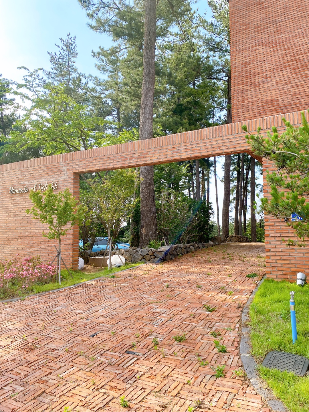 제주 애견 할리스 연북로점