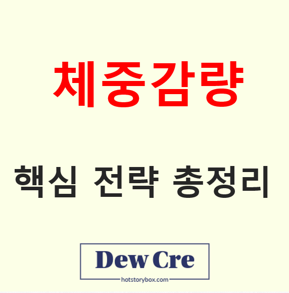 비만 건강 위험과 실패 없는 체중 감량 핵심 전략 총정리
