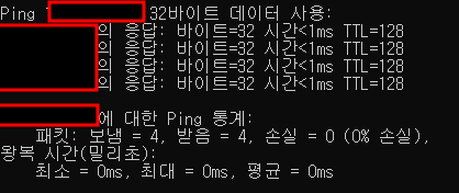 핑 테스트 방법3