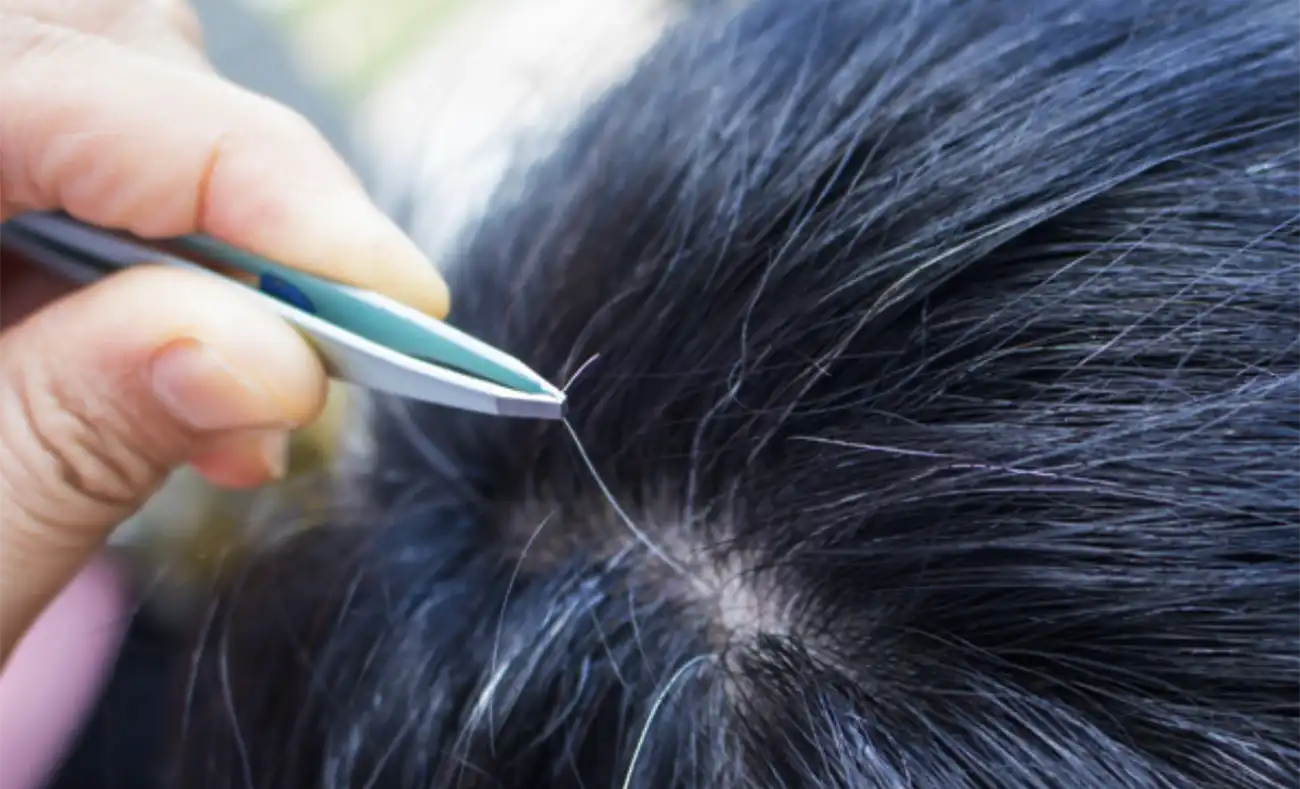 핀셋-하얀머리-뽑고있는남자