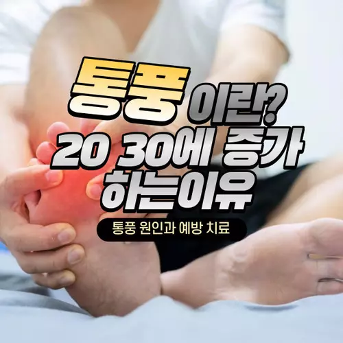 통풍에 대하여