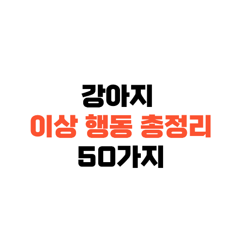 강아지이상행동50가지