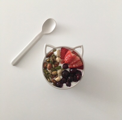 요거트 아이스크림