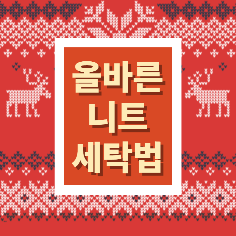 니트 세탁 방법