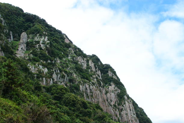 다자녀 가구 민생지원금