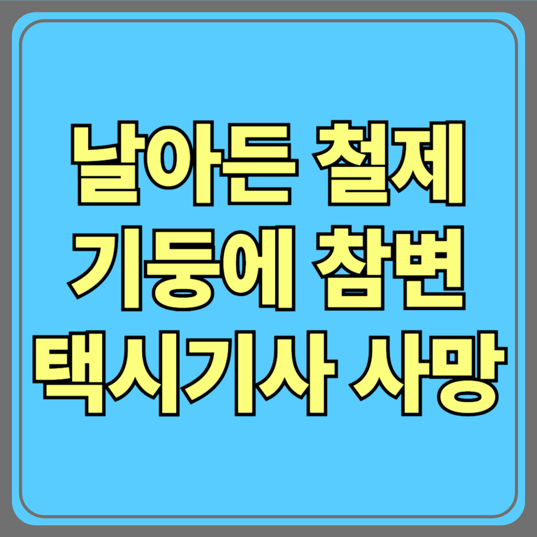 날아든 철제 기둥에 참변…60대 택시기사 사망, 충남 아산 도로 위 비극
