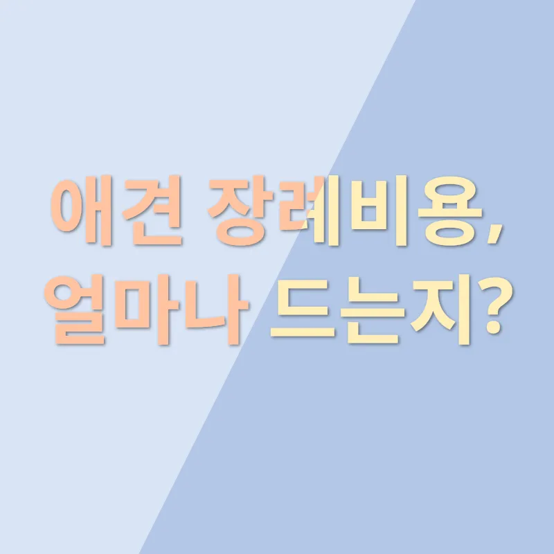 애견장례_2