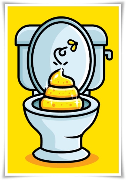 "변 색깔 건강 상태" 몸이 보내는 건강 신호, 건강을 지키는 작은 습관!