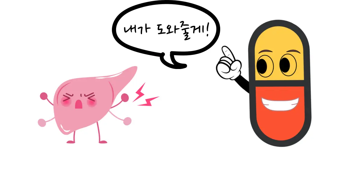 간-아르기닌-그림