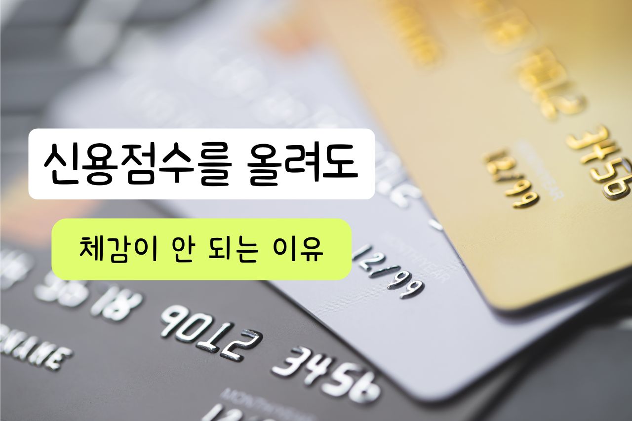 신용점수를 올려도 체감이 안 되는 이유