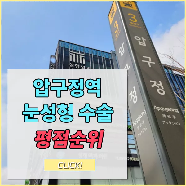 압구정눈성형수술추천