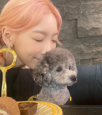 태연