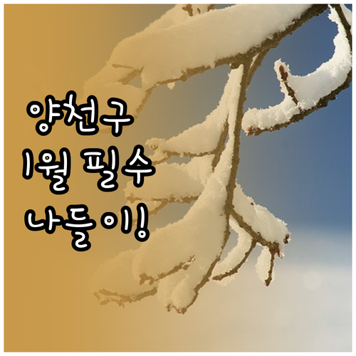양천구 1월 겨울 나들이 추천 장소와..