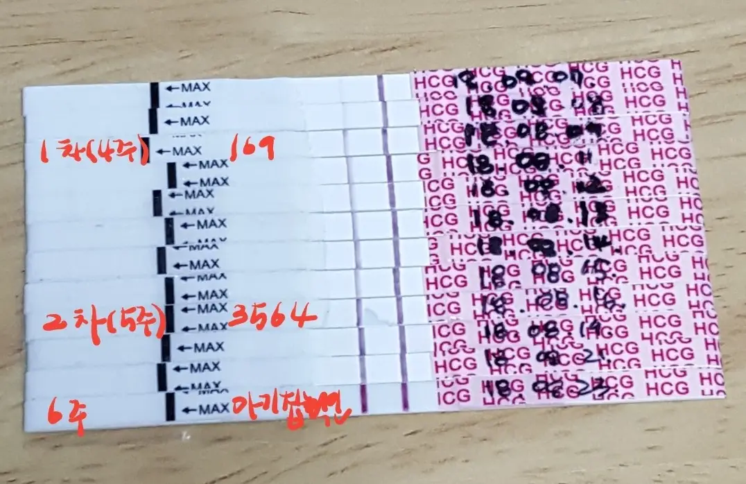 임신 주수별 임신테스터 사진