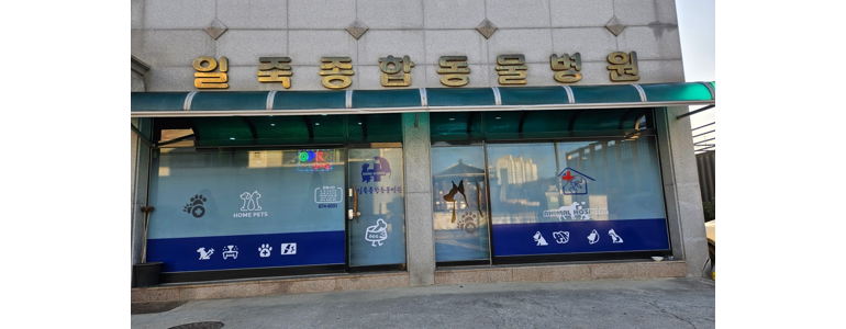 음성군 동물병원