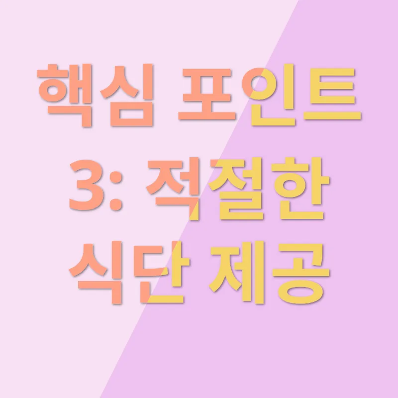 도마뱀 키우기 포인트_3
