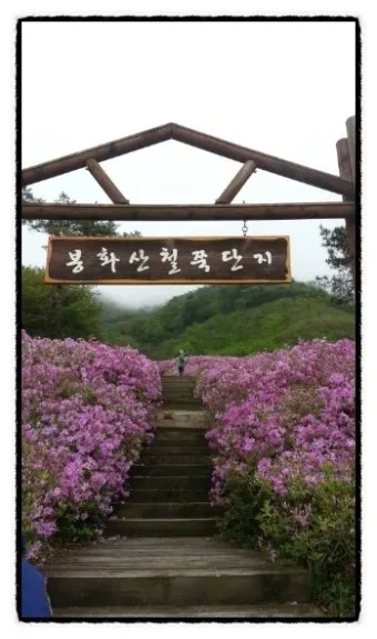 남원 봉화산 철쭉 산행 주차장 등산코스_25