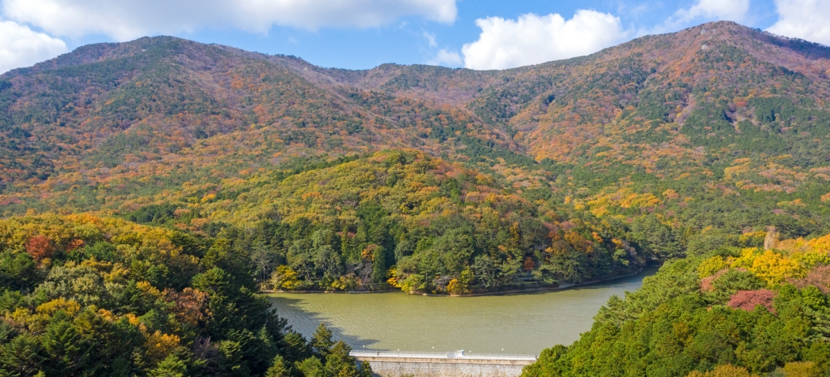 성지곡 수원지 둘레길: 자연과 함께하는 힐링의 길_관련사진